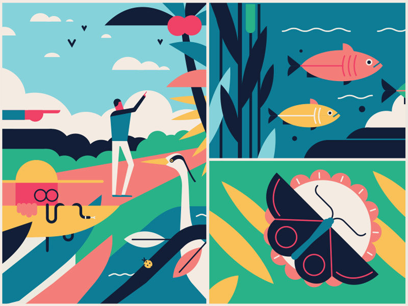 Beaches & Parks vector landscape leaves ocean butterfly fish sights nature animal park beach sea