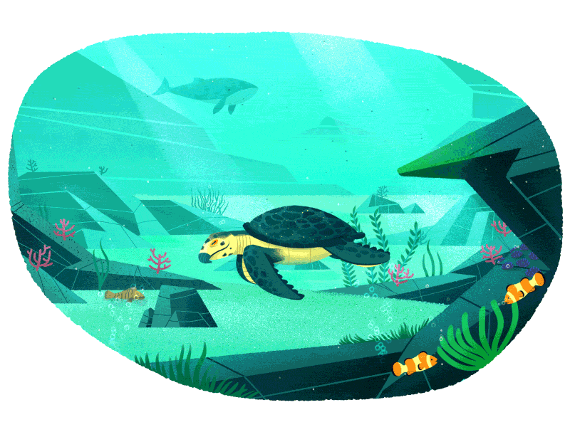 Under the sea! animation character gif illustration motion ocean sea texture turtle underwater vector