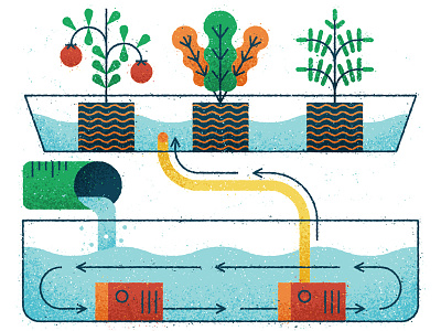 Aquaponics arrow diagram editorial grow illustration nature plant pump technical texture vector water