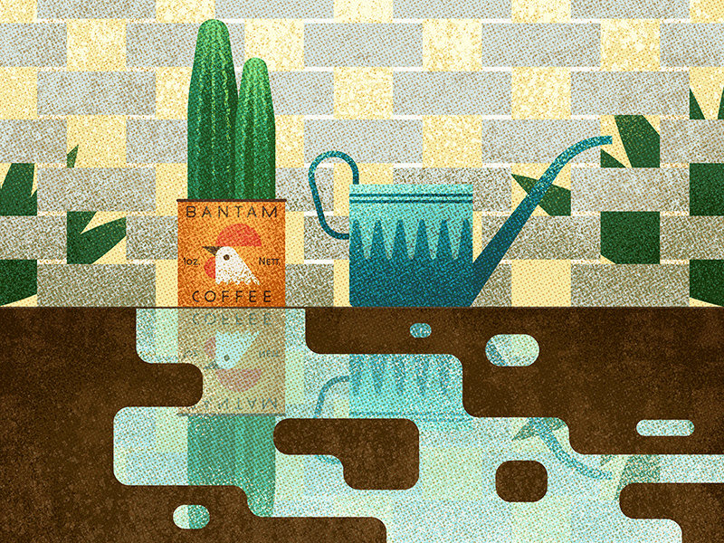 Cactus outdoors icon graphic coffee texture vector reflection water vintage retro plants illustration