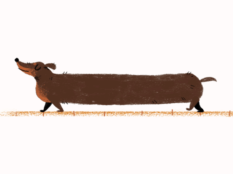 Struttin' Sausage! loop walking cycle walk dog graphic motion animation character texture sausage dog gif illustration