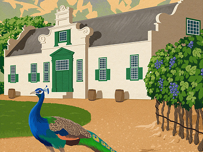 Beautiful Winelands bird digital painting house illustration mountain peacock poster scene texture travel winery wineyard