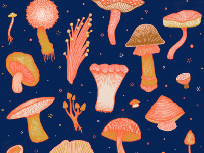 Magical Mushrooms T-shirt design drawing illustration mushroom pattern t shirt