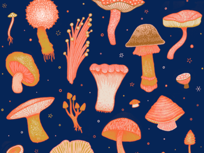 Magical Mushrooms T-shirt