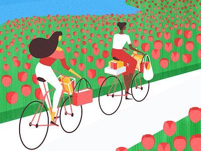 Holland bicycle character editorial flat flower holland illustration tulip vector