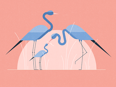 Monday Blues animals birds bluecrane character characterdesign crane flat graphic illustration texture vector wildlife