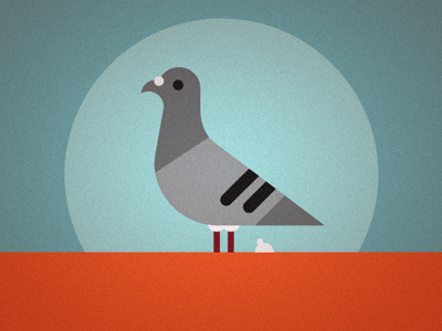 Pigeon bird pigeon poop