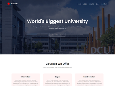 School Website - Homepage css figma html web design