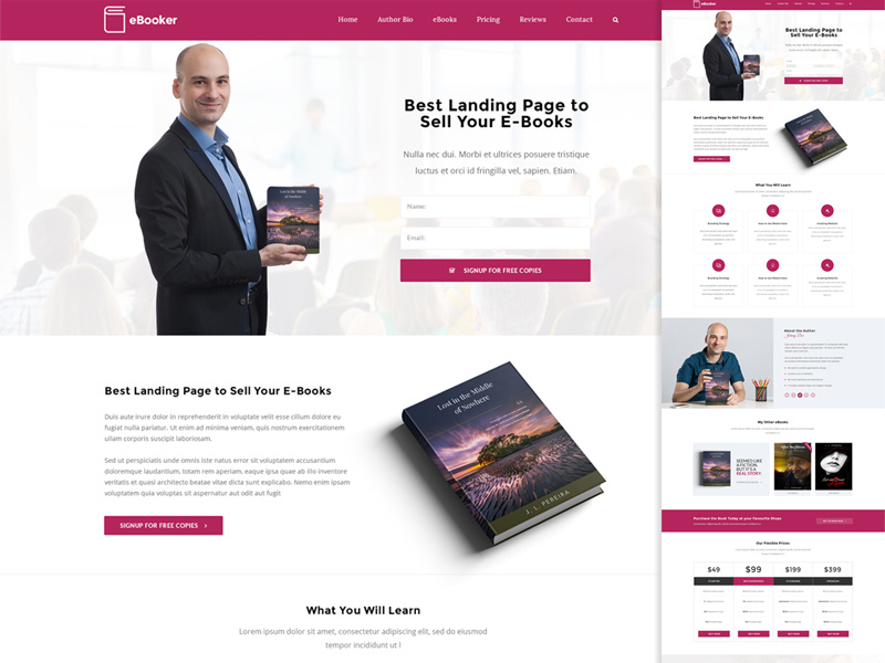 eBook Landing Page wordpress theme web design ebook landing page