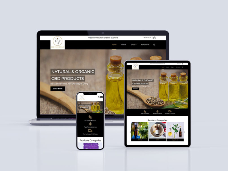 Woocommerce Developer Designs, Themes, Templates And Downloadable ...