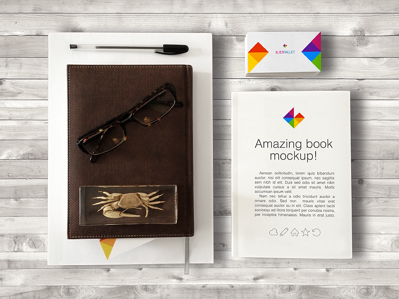 Freebie Business Card And Book Mockup By AlienValley On Dribbble