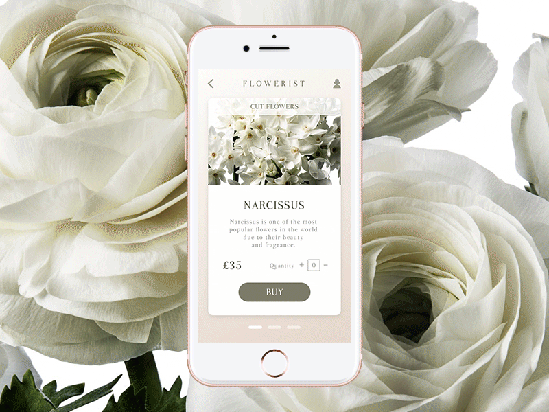 Flowerist App - Principle Animation #01