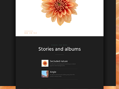 WIP - Personal website redesign #2 clean photography portfolio redesign website