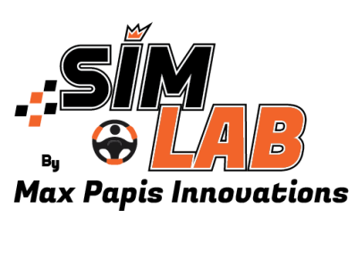 simlab logo professional logo typogaphy