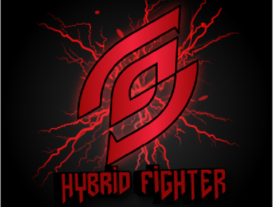 Hybrid Fighter