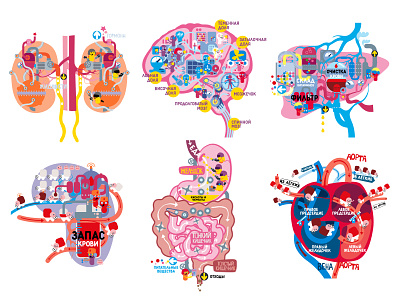 Anatomy 2d brain children book illustration heart illustration kidneys liver stomach vector