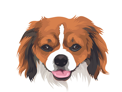 DOG FACE ILLUSTRATION