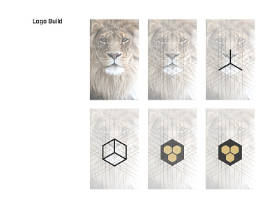 Our Logo - Process black bold brand build digital geometric gold hex lion logo mouth roar