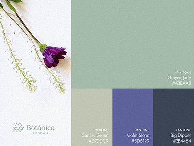 Botánica | Color Palette