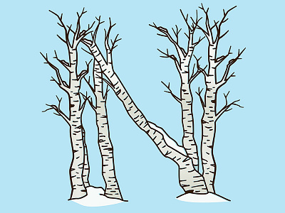 N birch letter n snow tree winter