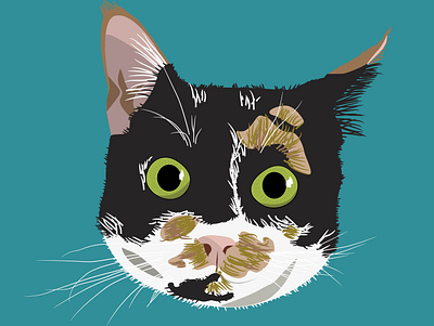 Momo the Calico Cat calico cat face furbaby illustration pet sketch tricolor vectorart