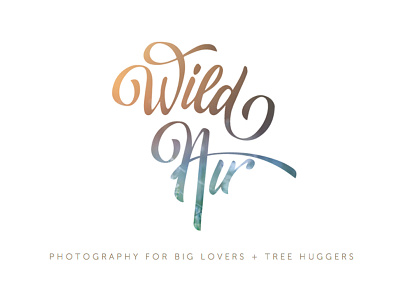 Wild Air Photography branding design logo photographer photography typography