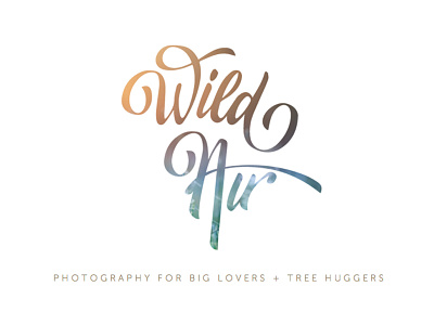 Wild Air Photography