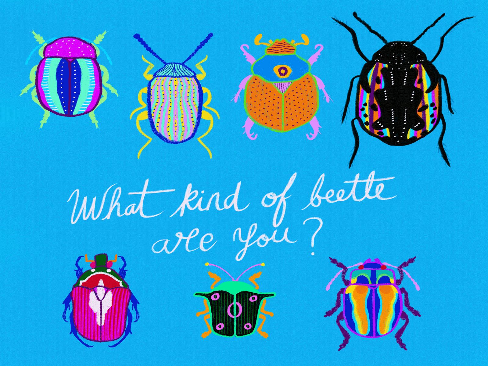–What kind of beetle are you? animation beetle biology bugs calligraphy colors digital art digital illustration farben illustration insects kafka kunst lettering metamorphosis moonrise kingdom procreate symmetry textures wes anderson