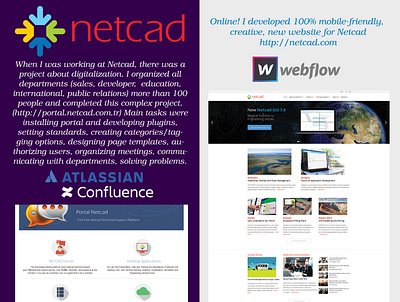 Netcad Project branding confluence design netcad responsive responsive design responsive web design responsive website solution web web flow webdesign webdesigner webdesigns webflow website website design websites
