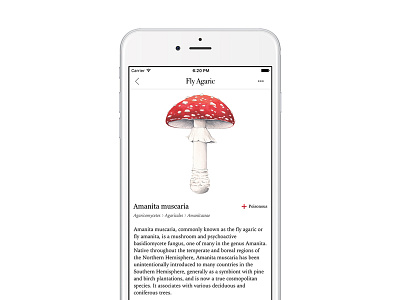 Mushroom Guide app fungi fungus guide illustration mushroom mycology