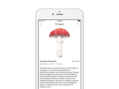 Mushroom Guide
