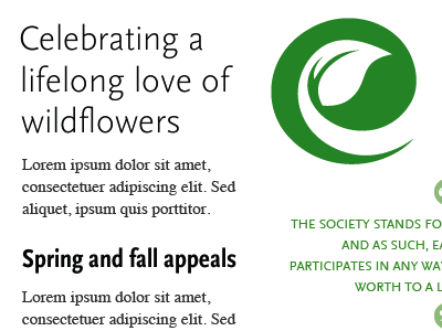 A Lifelong Love Of Wildflowers green scala sans typography