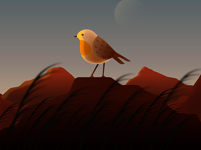 Lil Robin character design designlover evening grass illustration robinbird vector wind winter