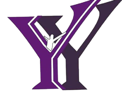 Youth Force Logo graphic design illustration illustration art logo logodesign