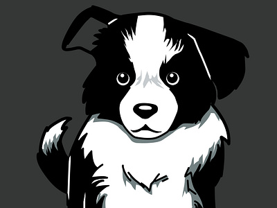 Border Collie Designs Themes Templates And Downloadable Graphic Elements On Dribbble