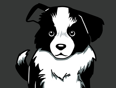 Border Collie adobe photoshop animal art border collie cute art design dog drawing illustration