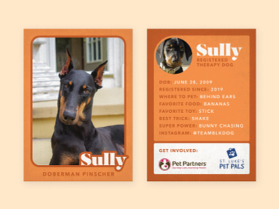 Therapy Dog Trading Card — Sully doberman dog photoshop print therapy dog trading card