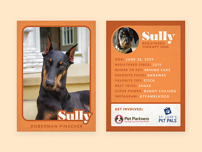 Therapy Dog Trading Card — Sully doberman dog photoshop print therapy dog trading card