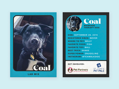 Therapy Dog Trading Card — Coal dog lab mix photoshop print trading card