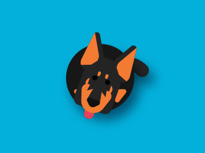 Happiest Doberman after effects animation doberman dog dribbbleweeklywarmup gif illustrator vector