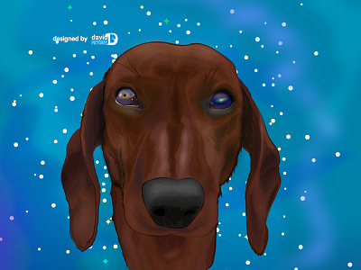 the universe in the eyes of a dog.