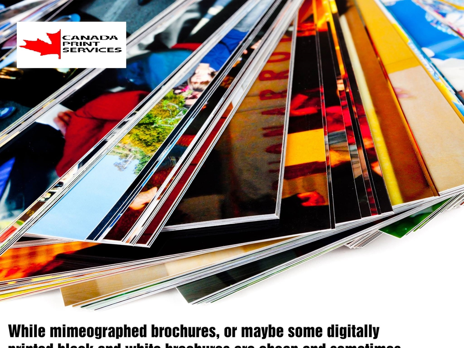 brochure printing toronto by Canada Print Services on Dribbble