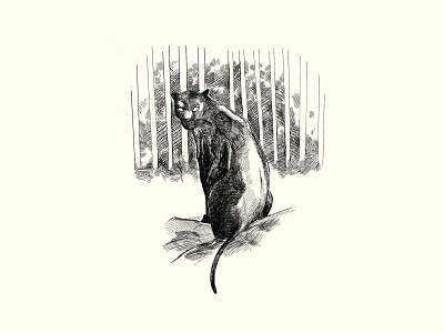 The Panther artwork atmospheric illustration