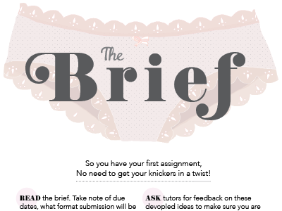 The Brief illustration lace magazine pink underwear vector