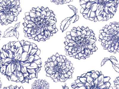 Blue Dahlias