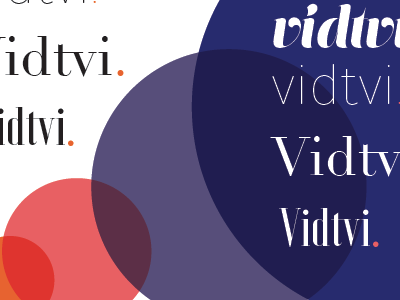 Vidtvi- beginning brand identity brand branding moodboard transparency typography