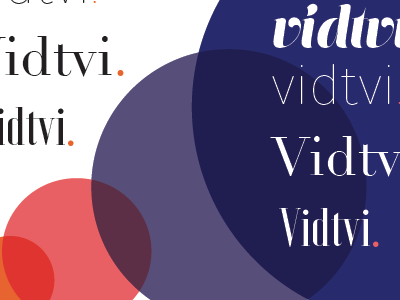 Vidtvi- beginning brand identity