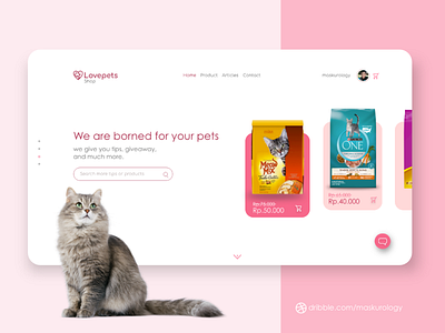 Pets food website store design.