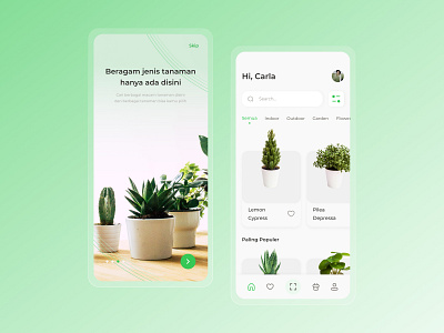 Plants e-commerce - App Design app branding clean design illustration logo ui uidesign web