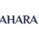 Sahara travel 